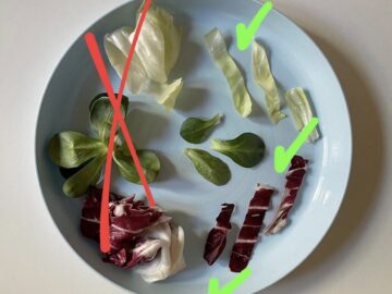 Insalata